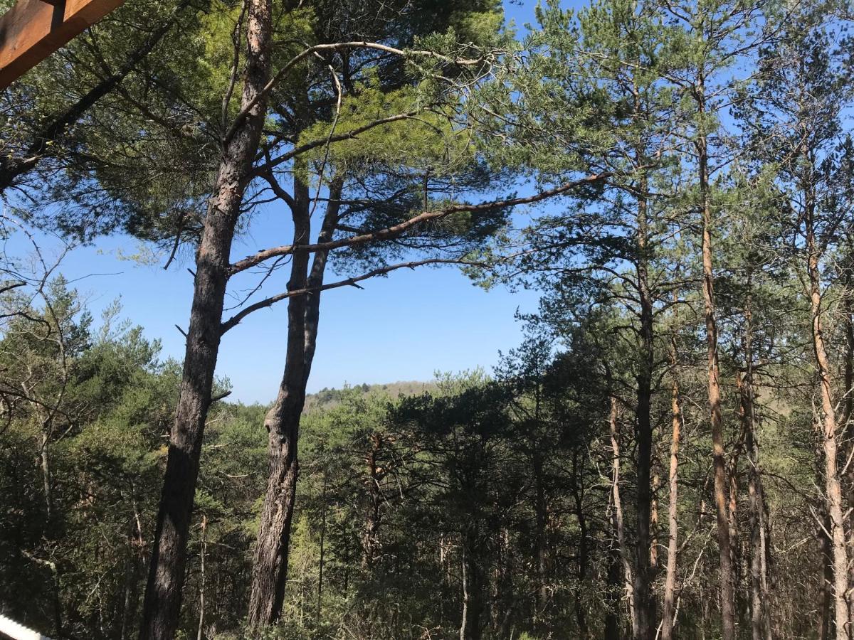 Admirez La Nature, Sejourner Differemment ! Montagnac  Bagian luar foto
